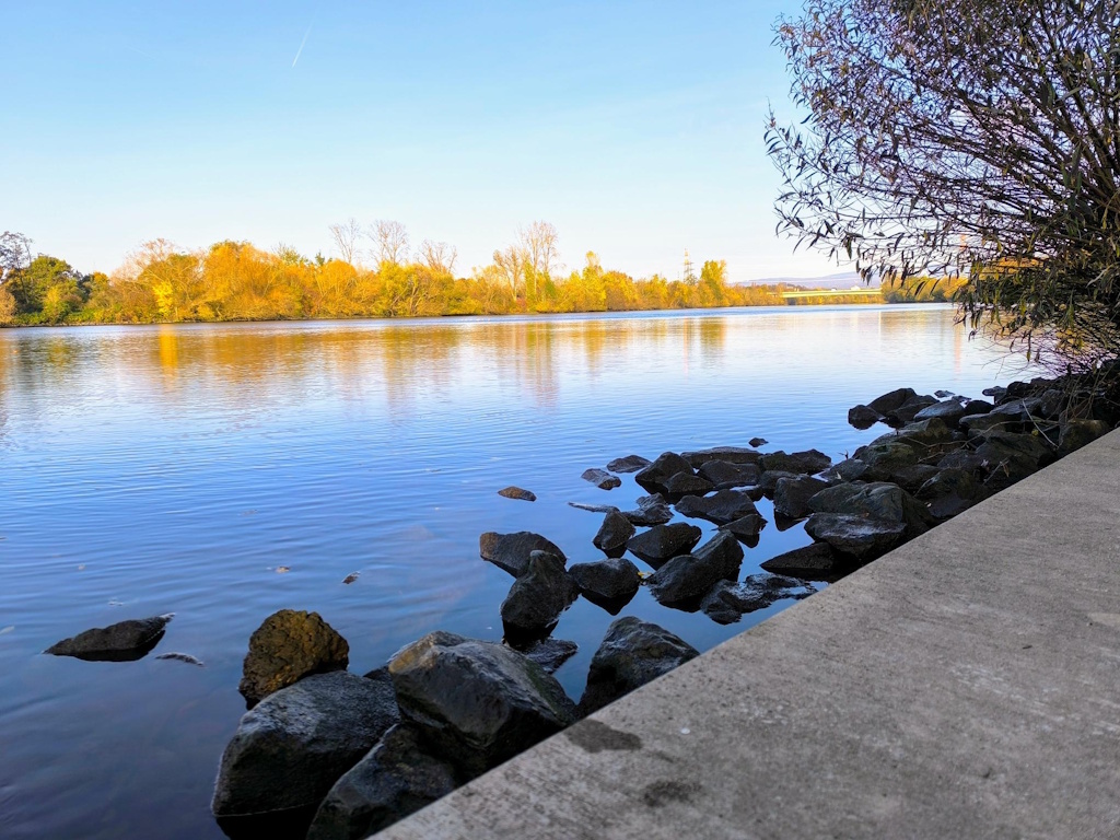 Main Ufer